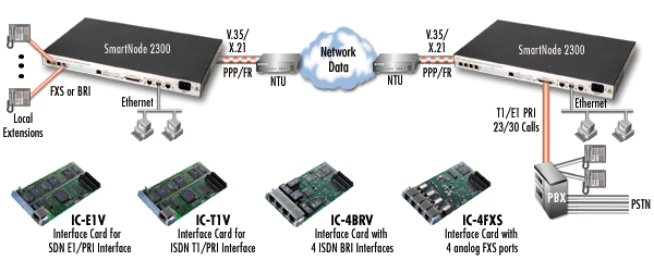 SmartNode 2300 application