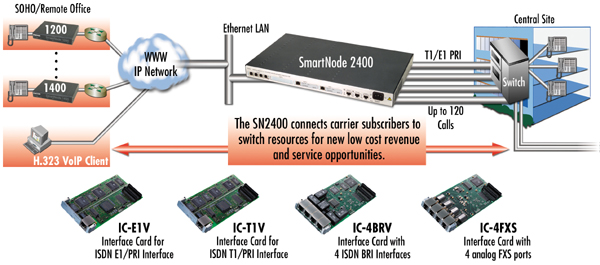 SmartNode 2400 application